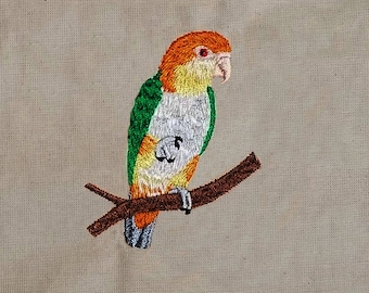 White-bellied Caique, 4x4, Machine Embroidery Design, Design, Bird