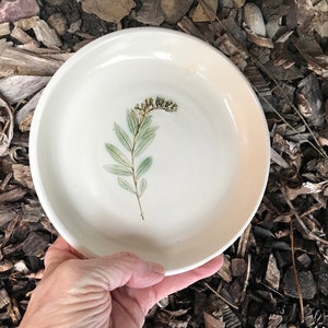 Puede incluir: Un plato de cerámica blanco con un diseño floral verde y marrón. El plato está siendo sostenido en una mano.