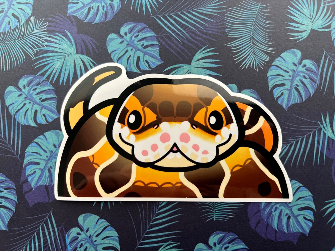 Passenger Pals Ball Python Decal - Etsy