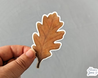 Oak Leaf Waterproof Sticker | Autumn Illustration
