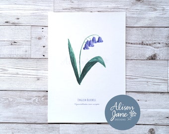Bluebell Gouache Print | English Bluebell | Hyacinthoides non-scripta | Art Print | Alison Jane Designs | Floral Print | Floral Illustration