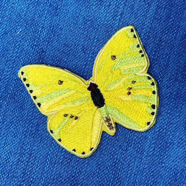 Cloudless Sulphur Butterfly