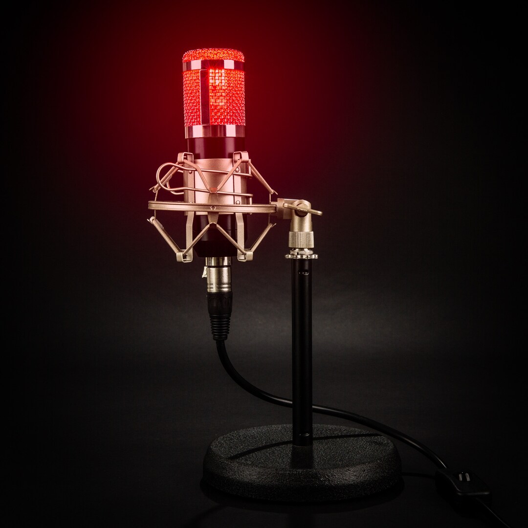 Studio Microphone Desk Lamp on Air Edition / Music Lover / Gift for Men