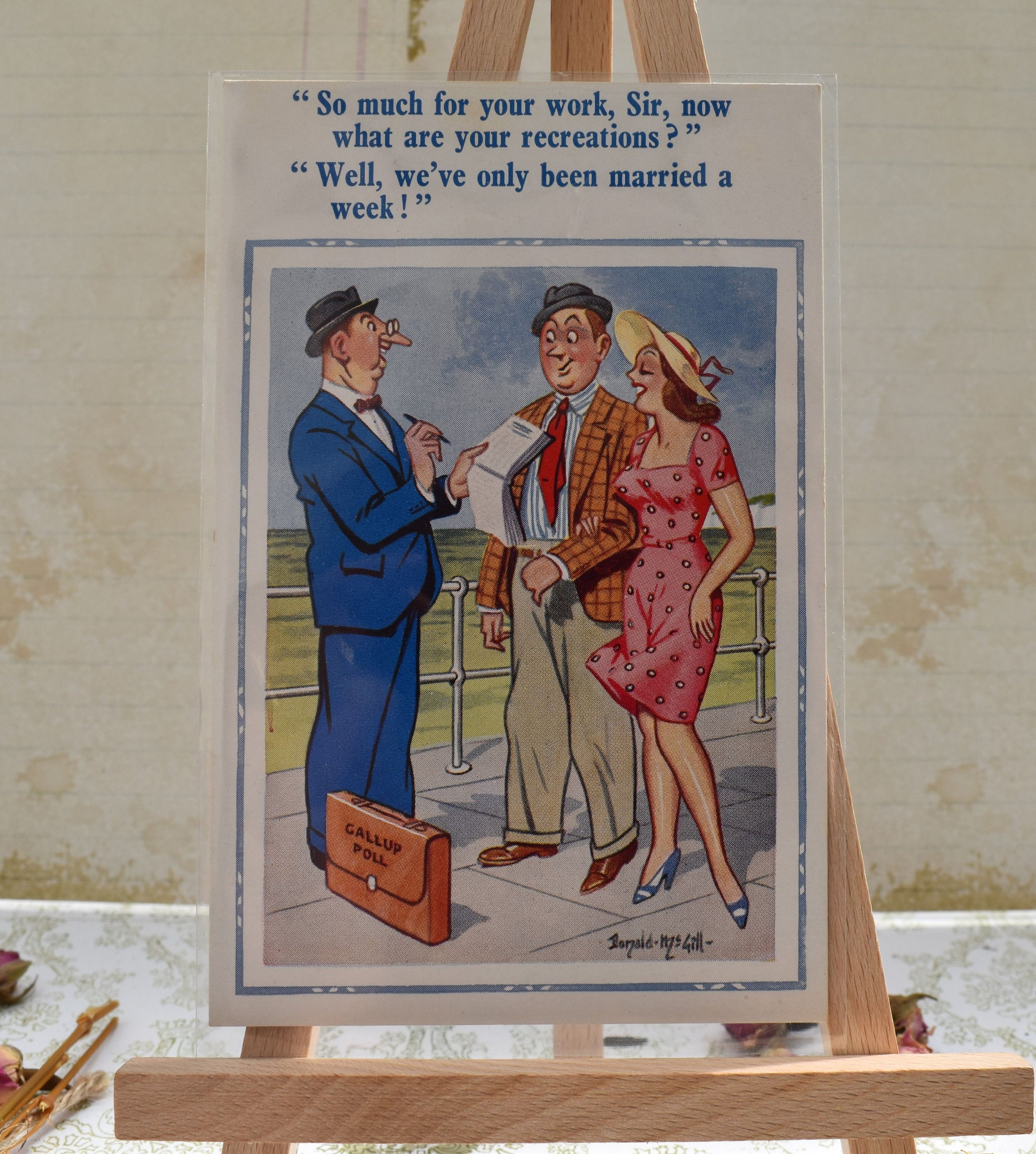 Cheeky Donald Mcgill Postcard - Charming Newly Weds Rude Antique
