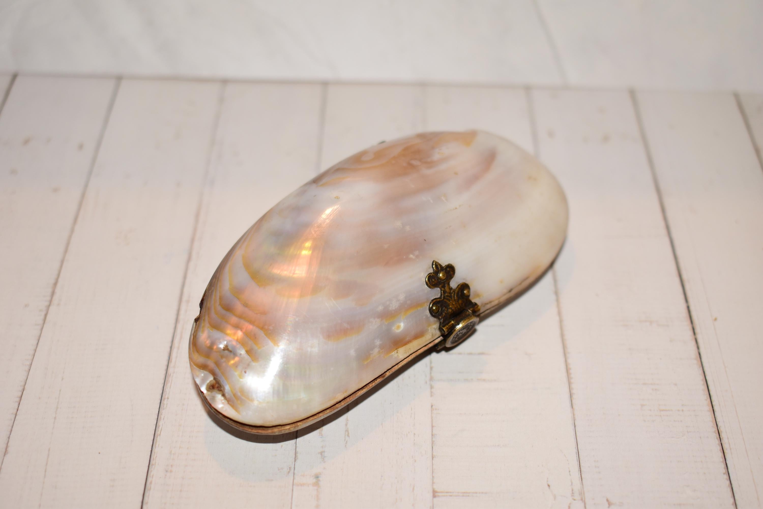 Victorian Shell Box - Etsy