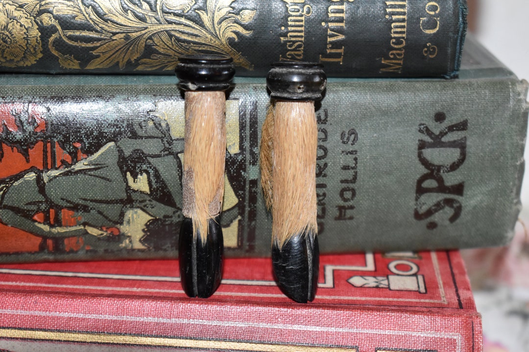 Antique Pair of Knitting Needles Guards Wonderful Hoof and Fur Victorian Protectors Etsy