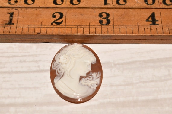 Shell Cameo Panel - Gorgeous Vintage Large Carved… - image 2