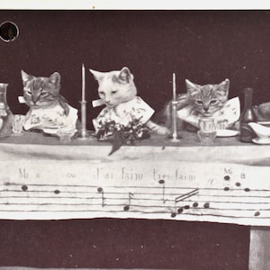 Cartolina per la cena dei gatti - Interessante concorso di cartoline di Raphael Tuck del 1923 con il francese I am Hungry Cats