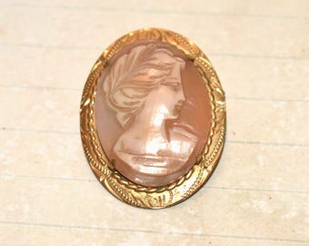 May include: Oval cameo brooch featuring a profile of a woman with flowing hair. The cameo is a light peach color, set in a gold-toned frame with a detailed, ornate border. A classic piece of jewelry.