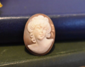 Shell Cameo Panel - Beautiful High Relief Rare Front Facing Carved Female Cameo with Hair Decoration Detail