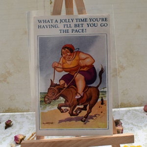 Cartolina Cheeky Donald McGill - Affascinante signora e asino Rude Antique Comedy Risque 1936