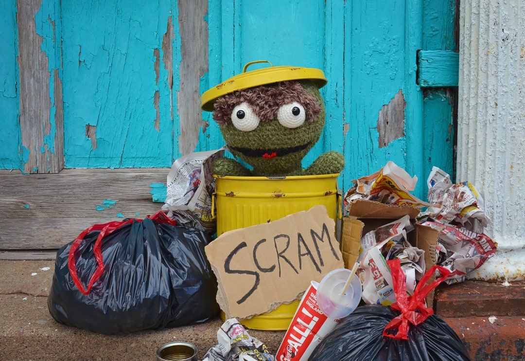 Giant Oscar the Grouch Pattern - Etsy