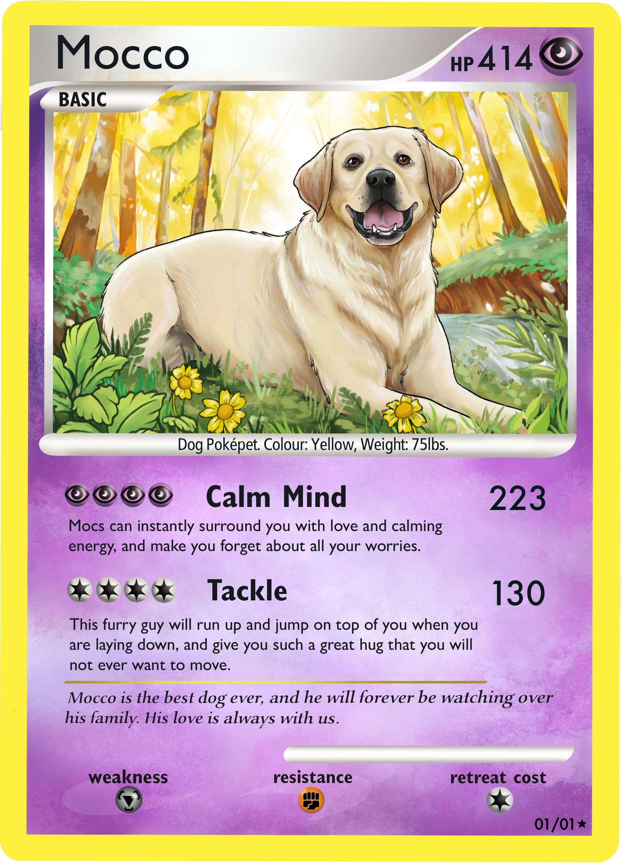 dog pokemon card maker Custom Pokémon Card for Pet Lovers, Personalized Pokémon Card with Pet –  Custom Poke Cards