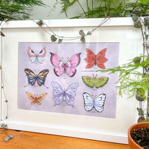 Pode incluir: Uma impressão emoldurada com oito ilustrações de borboletas coloridas. As borboletas estão dispostas em uma grade sobre um fundo roxo claro. A moldura é branca.