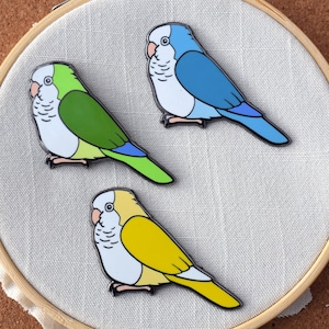 Quaker Parrot Hard Enamel Pin