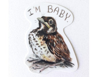 Baby Robin Bird Vinyl Sticker