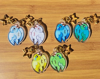 May include: Five colorful acrylic keychains featuring cartoon birds with gold star charms. The birds are blue, green, yellow, and white.