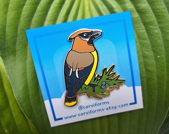Op de afbeelding: Een gouden emaille pin met een cederwasvleugel die op een tak zit met bessen. De vogel is afgebeeld in een cartoon-stijl met een gele borst, bruine rug en zwarte vleugels. De pin is op een blauwe achtergrond met de tekst "@corviiforms www.corviiforms.etsy.com".