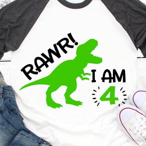 May include: A white and gray raglan t-shirt with a green dinosaur silhouette and the text "RAWR! I AM 4".