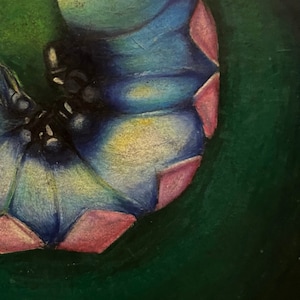 Alice in Wonderland Realism Caterpillar Fantasy Original