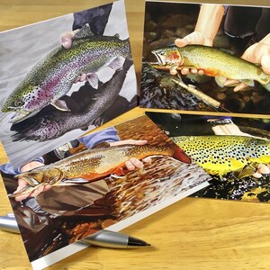 16 trout note cards - 4 cada una de las 4 imágenes