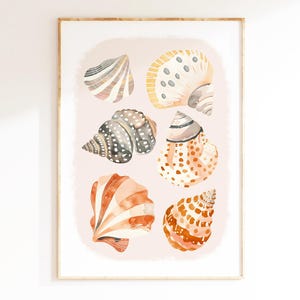 May include: A watercolor painting of six seashells in various shades of brown, orange, and gray on a pink background.