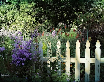 Alethea's Garden Picket Fence-Printable Download for Canvas Print, Poster, Home Decor, Printable Paper, Scrapbooking, Stationery, DIY