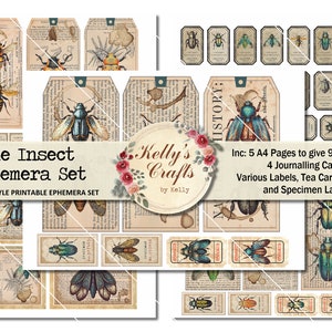 Vintage Insect Ephemera Set, includes Tags, Journal Cards, Tea Cards, Specimen Labels and decorative elements for Nature Journals, Bugs Set