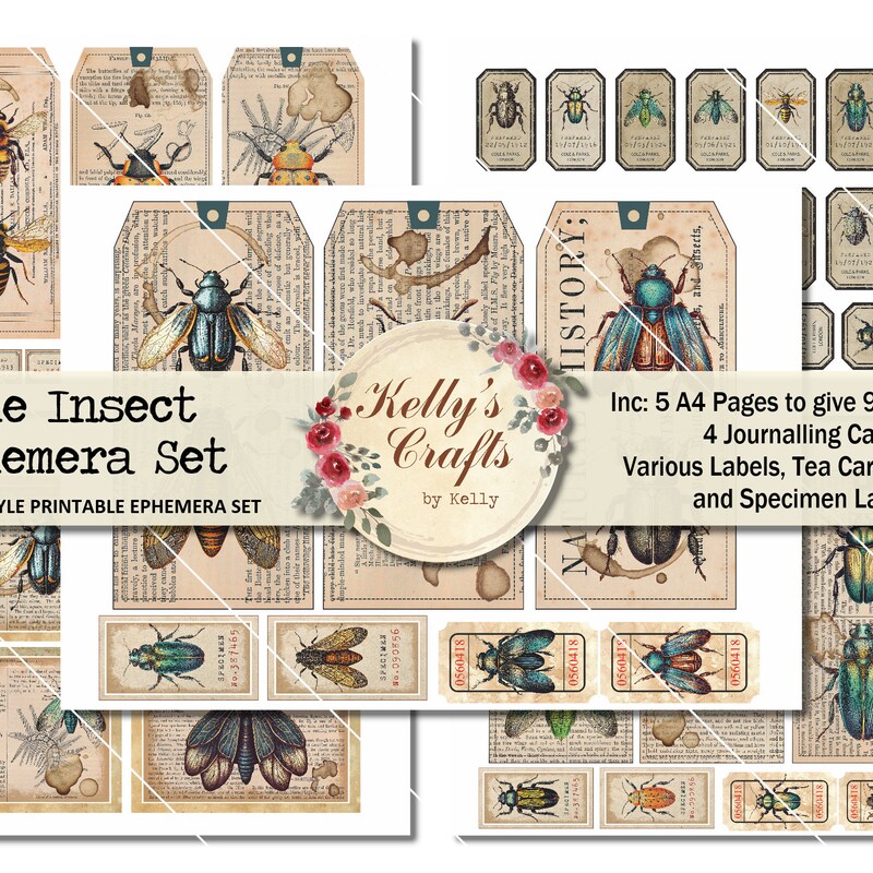 Insect - Etsy