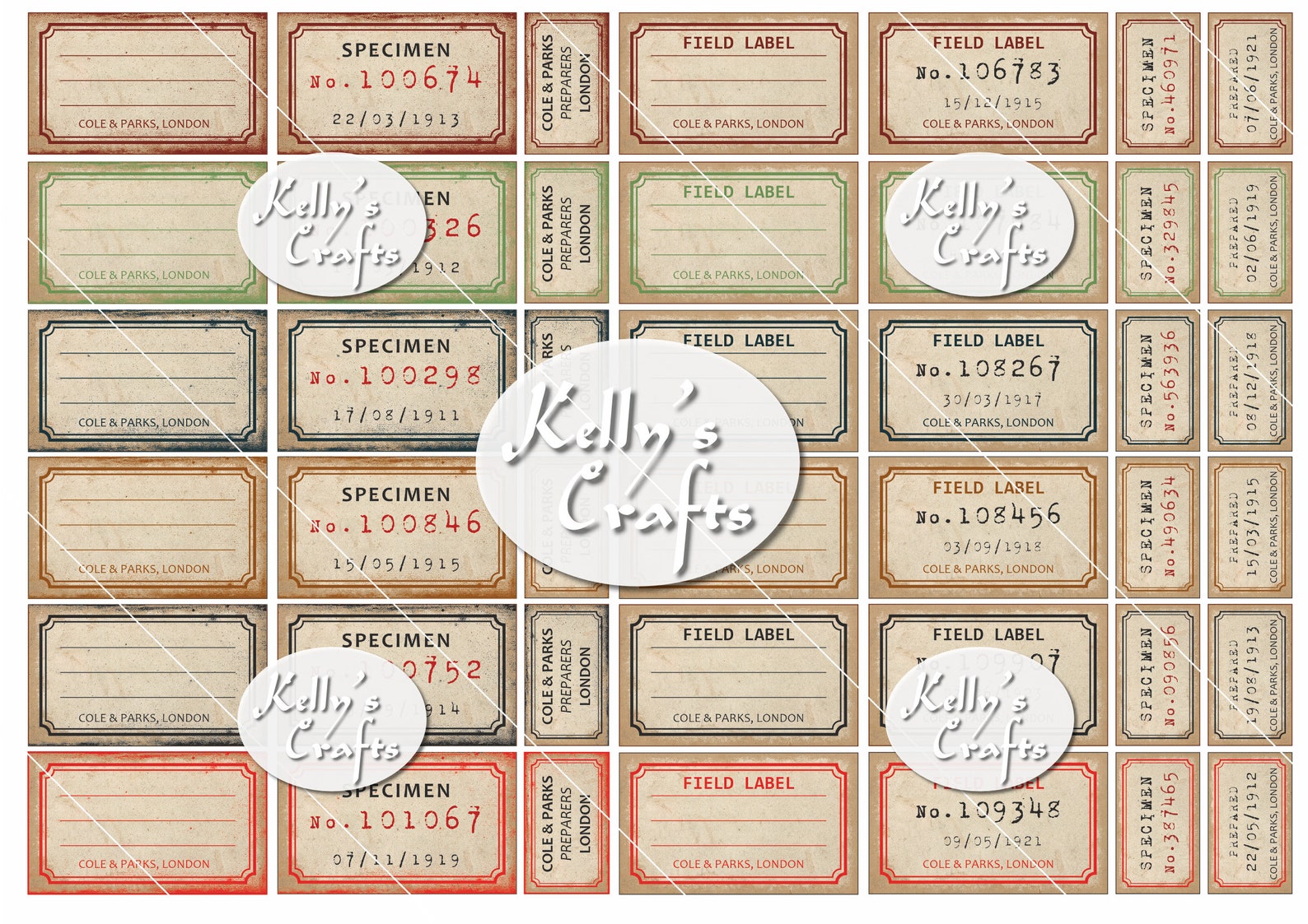 Vintage Field and Specimen Labels - Suitable for Use With Nature and ...