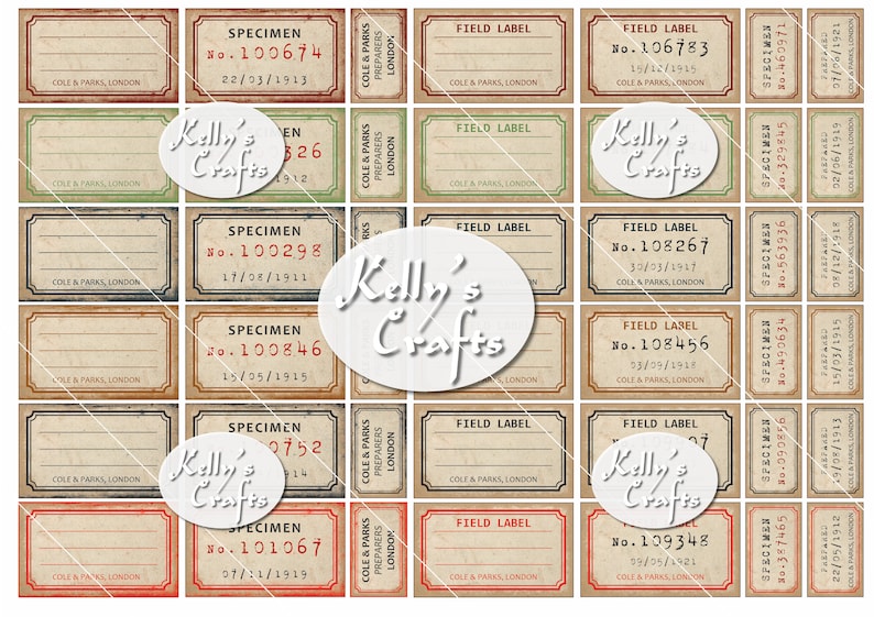 Vintage Field and Specimen Labels - Suitable for Use With Nature and ...