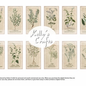 Cartões de Chá - Ervas - um conjunto de 12 cartões de chá de ervas de inspiração vintage.