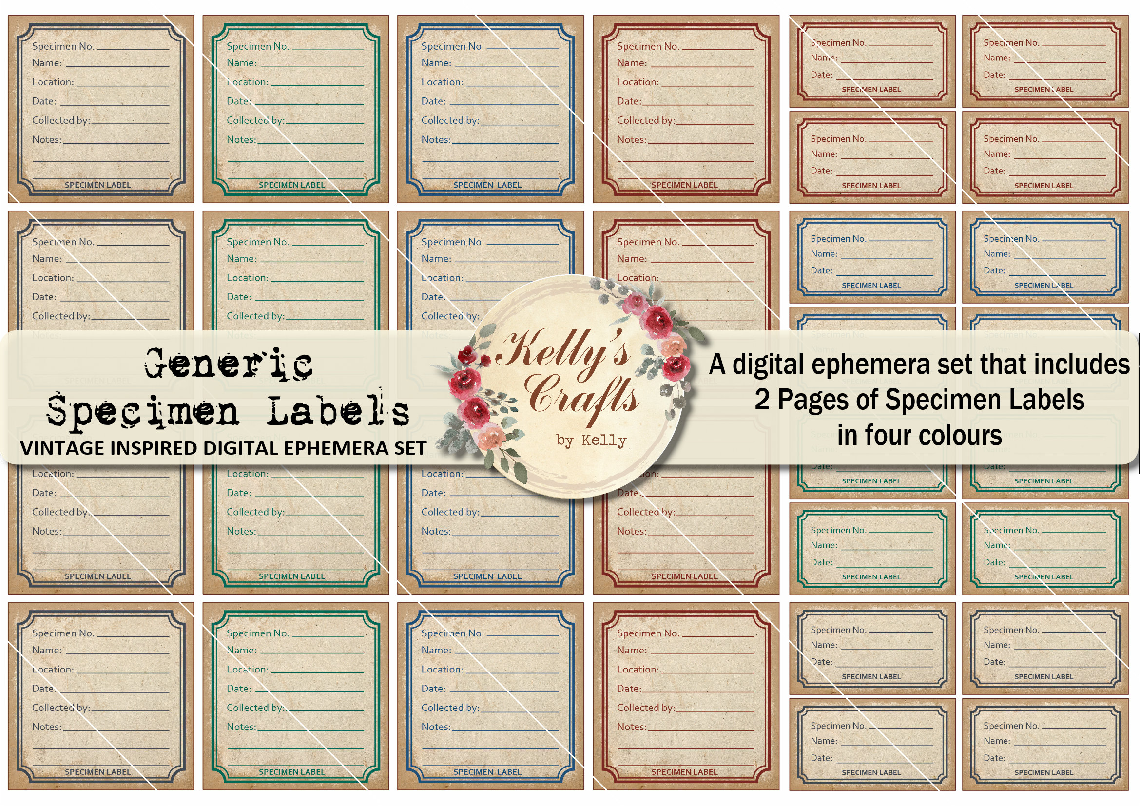 Generic Specimen Cards and Labels Nature Specimen Etsy