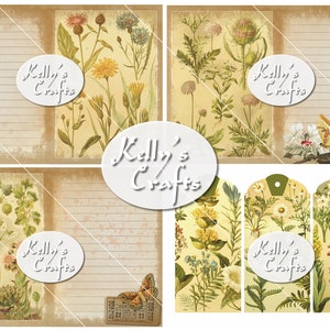 May include: A digital paper pack with vintage botanical illustrations of flowers and plants. The paper pack includes four sheets with lined paper, two sheets with floral patterns, and three tags with floral patterns. The paper pack is designed by Kelly's Crafts.