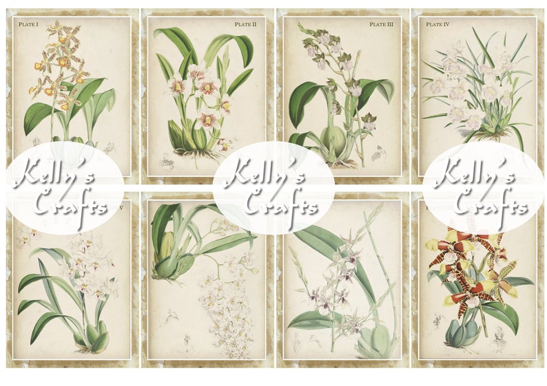 For the Love of Orchids Botanical inspired Digital Junk Journalling Kit