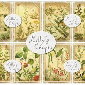 May include: Six vintage botanical illustrations of various flowers and plants, each framed in a distressed beige border. The illustrations are in a muted color palette of greens, yellows, and reds. The text "Kelly's Crafts" appears in a white oval in the center of the image.