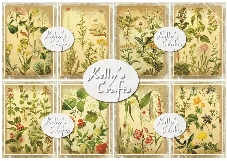 May include: Six vintage botanical illustrations of various flowers and plants, each framed in a distressed beige border. The illustrations are in a muted color palette of greens, yellows, and reds. The text "Kelly's Crafts" appears in a white oval in the center of the image.