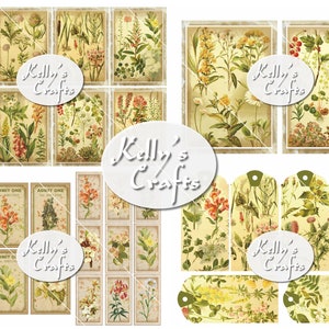 May include: A digital collage sheet featuring vintage botanical illustrations of various flowers and plants. The sheet includes a variety of sizes and shapes, perfect for crafting projects.