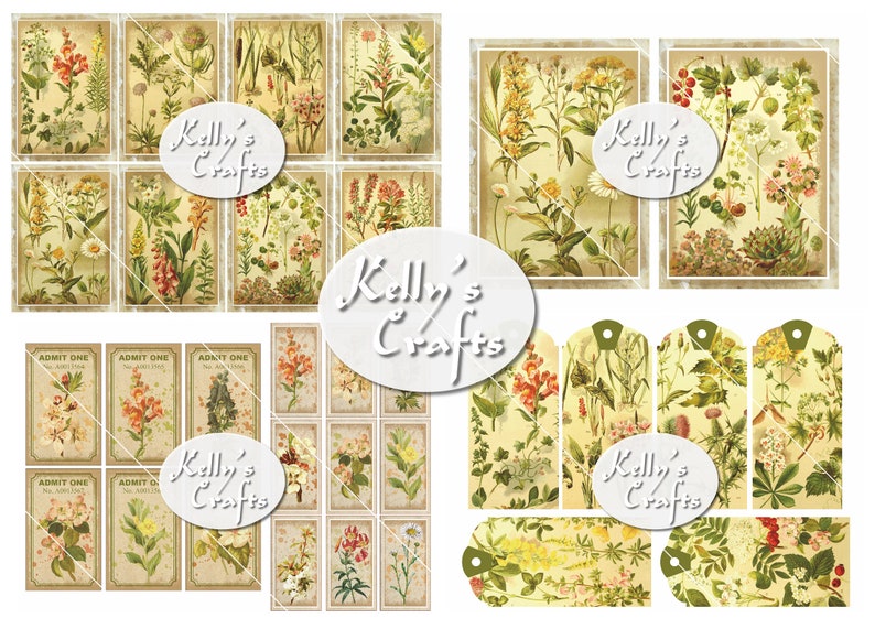 May include: A digital collage sheet featuring vintage botanical illustrations of various flowers and plants. The sheet includes a variety of sizes and shapes, perfect for crafting projects.