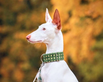 Dog Collar | Sighthound Collar| Unit collar | Designer collar | Jacquard Collar with tassel | Baltas Vejas Dog Gear