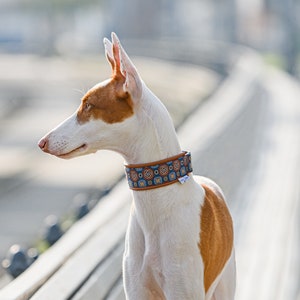 Dog Unique Collar | Sighthound Collar | Genuine Leather Collar | Designer UNIT Collar | Silk Jacquard | With Tassel | Baltas Vejas DogGear