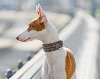 Dog Unique Collar | Sighthound Collar | Genuine Leather Collar | Designer UNIT Collar | Silk Jacquard | With Tassel | Baltas Vejas DogGear