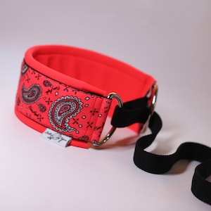 Lure Coursing Collar | UNIC Collar | &quot;SPARKLY DISTRACTIONS&quot; Collection  | Quick release Collar |  | Baltas Vejas Dog Gear