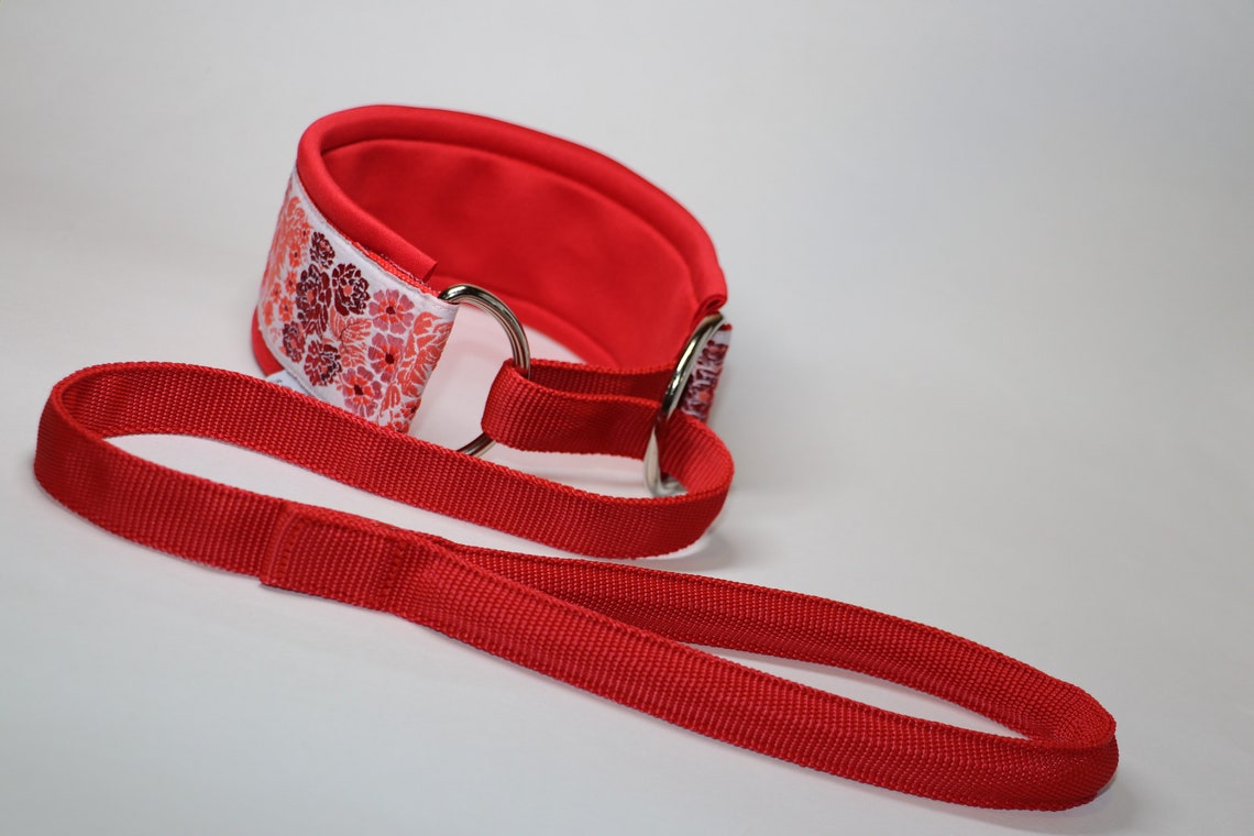 Lure Coursing Leash Slip Lead Slip Leash Traffic Collar Etsy