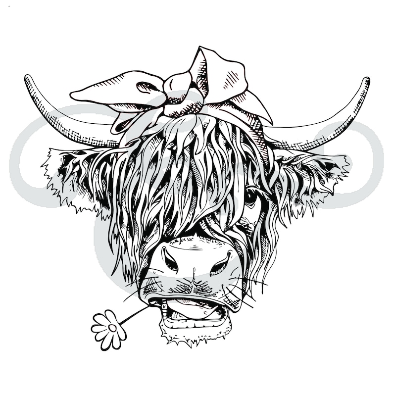 hairy-cow-sublimation-transfer-highland-cow-shaggy-cow-etsy