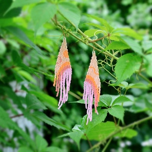 Long beaded fringe earrings, Statement pink earrings, Ombre Bohemian tassels, Funky neon earrings, Summer earrings, Mismatched artsy image 5