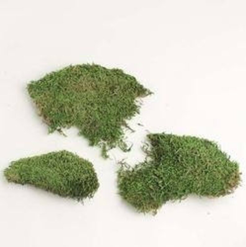 free download sheet moss free download sheet moss
