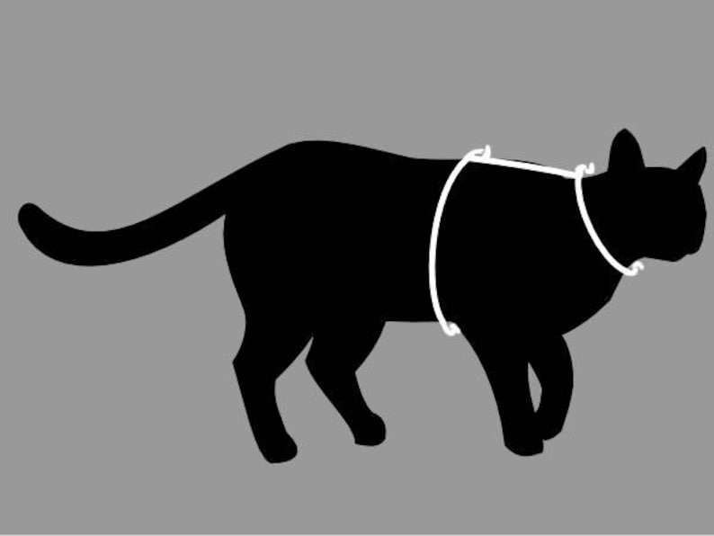 Halloween Cat Harness Etsy