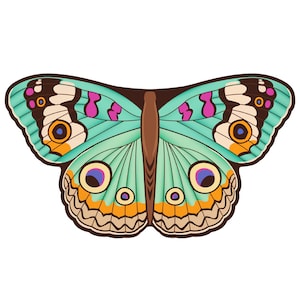 Butterfly Cape Adult Wings Fairy Butterfly Costume