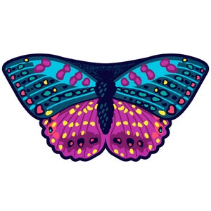 Child and Adult Girls Butterfly Wings Kids Butterfly Cape Girls Dance Costume